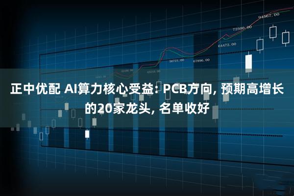 正中优配 AI算力核心受益: PCB方向, 预期高增长的20家龙头, 名单收好
