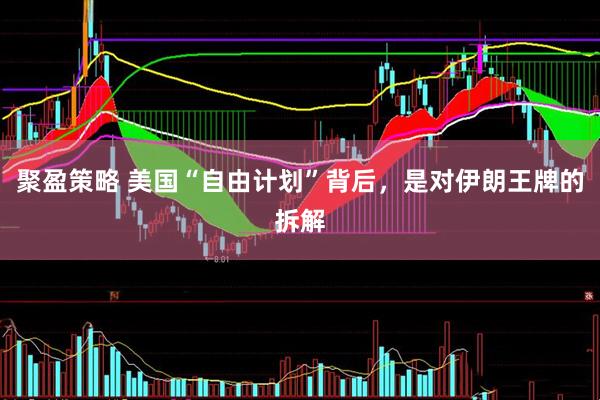 聚盈策略 美国“自由计划”背后，是对伊朗王牌的拆解