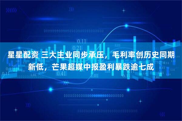 星星配资 三大主业同步承压，毛利率创历史同期新低，芒果超媒中报盈利暴跌逾七成